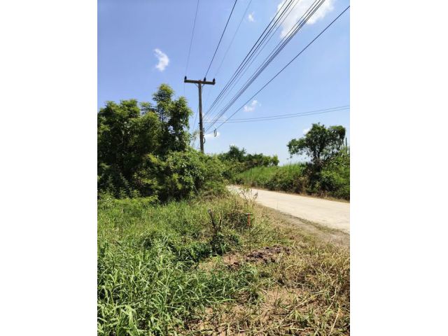 ที่ดิน 50 ตร.ว ถมดินให้เรียบร้อย ฉโนทพร้อมโอน ราคาพิเศษ 350,000
