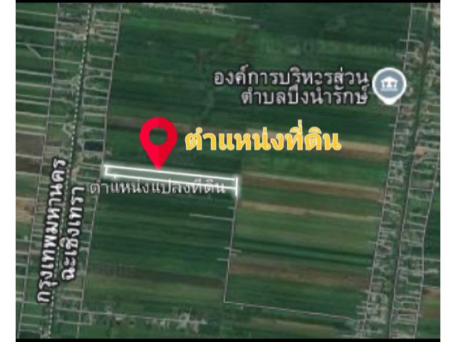 ขายที่ดิน 35 ไร่ ไร่ละ 1.5 ล้าน