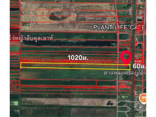 ขายที่ดิน 39 ไร่ ไร่ละ 7.5 แสน