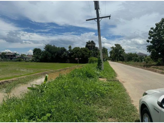 ขายที่นาสันโป่งแม่ริมวิวท้องนาติดลำห้วยโฉนดพร้อมโอน