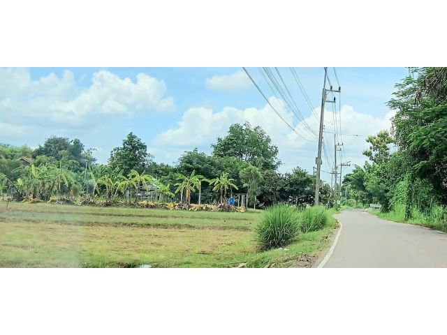 ขายที่ดินตำบลน้ำแพร่หางดงบ้านแพะขวางพร้อมโอน