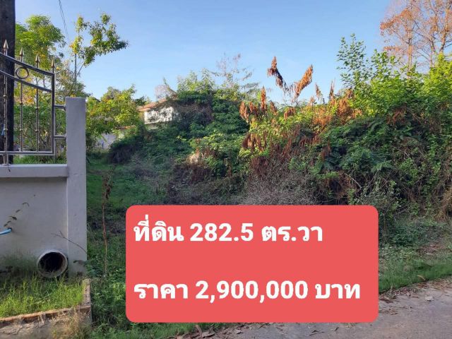 ที่ดินติดตลาดยูเทิร์น อ.เมืองศรีสะเกษ