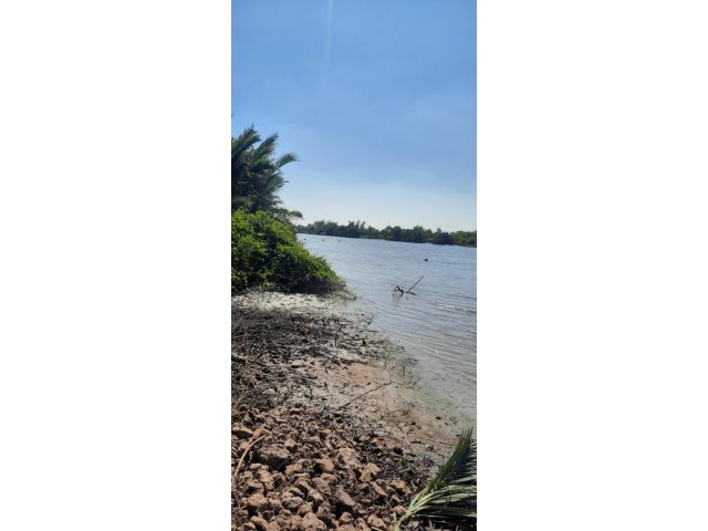 ที่ดินติดแม่น้ำบางปะกง บางกะเจ็ด/คลองเขื่อน 50 ไร่