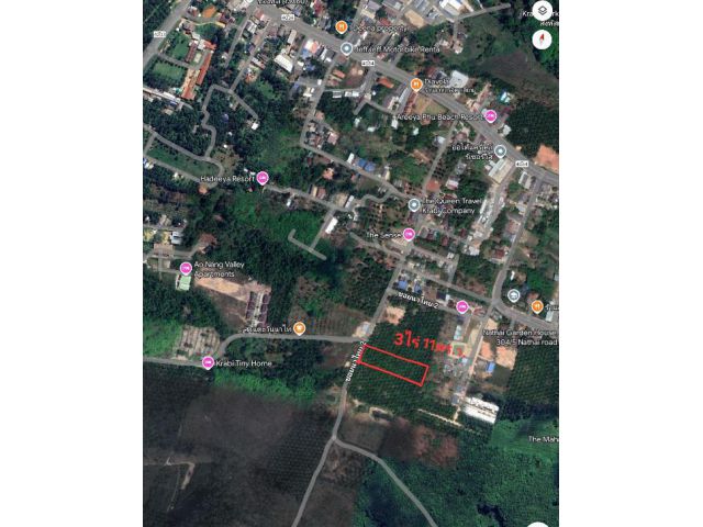 ที่ดินสวนปาล์มน้ำมัน