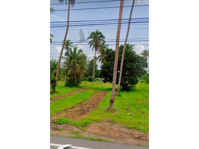 ที่ดินสวย 8 ไร่ 83 ตร.วา (แบ่งขาย) เหมาะสำหรับทำโรงแรม,รีสอร์ท,หมู่บ้าน ห่างจากถ.สุขุมวิท แค่ 5 นาที ไม่ไกลจากตัวเมืองพั