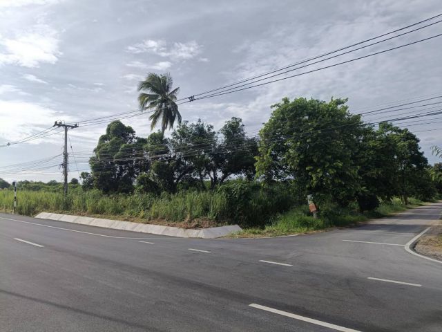 ขายที่ดิน 16 ไร่ ติดถนน 190 เมตร สวนผึ้ง ราชบุรี