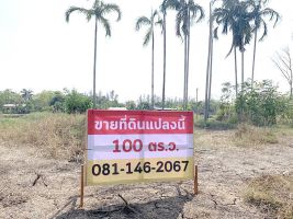 ขายด่วน ที่ดินเลียบคลอง 12 หนองเสือ 100 ตรว. ติดถนนคอนกรีตใกล้รังสิตนครนายก