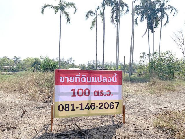 ขายด่วน ที่ดินเลียบคลอง 12 หนองเสือ 100 ตรว. ติดถนนคอนกรีตใกล้รังสิตนครนายก