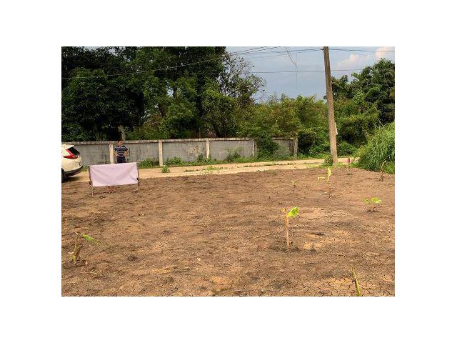 ขายด่วน ที่ดินเลียบคลอง 12 หนองเสือ 100 ตรว. ติดถนนคอนกรีตใกล้รังสิตนครนายก