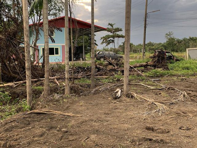 ขายด่วน ที่ดินเลียบคลอง 12 หนองเสือ 100 ตรว. ติดถนนคอนกรีตใกล้รังสิตนครนายก