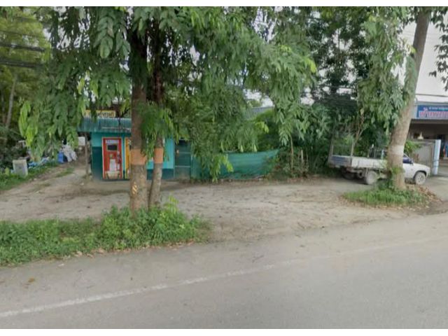 ขายที่ดินติดถนนต้นยางสารภียางเนิ้งทำเลค้าขายได้