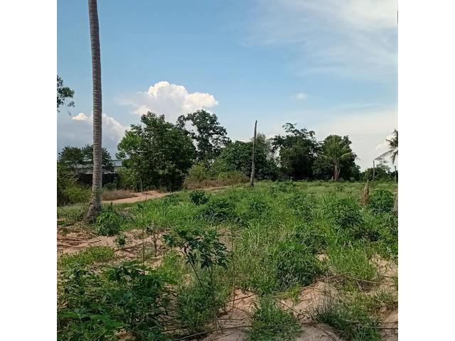 ขายที่ดินนิคมพัฒนาระยอง  6   ไร่