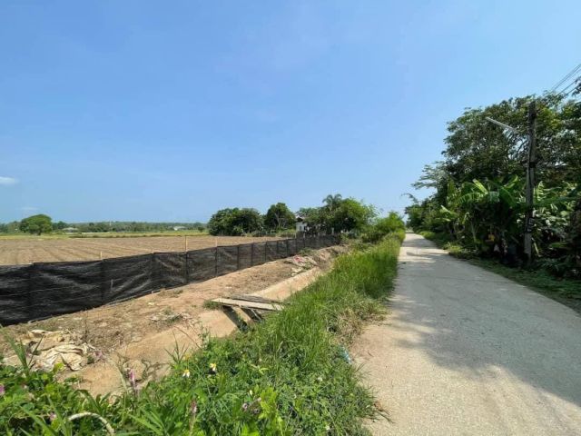 ขายที่ดินวิวภูเขาบ้านขี้เหล็กแม่ริมติดถนนโฉนดพร้อมโอน