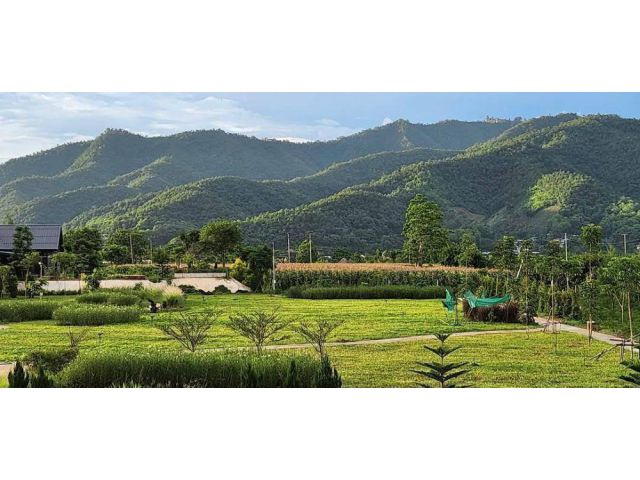 ขายที่ดินพร้อมบ้านพักตากอากาศ วิวเขาล้อมรอบ เงียบสงบ ตรงข้ามวัดท่าตอน จ.เชียงใหม่