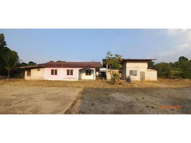 ขายบ้านเดี่ยว ซ.ชวนอุทิศพัฒนา ถ.สายบ้านน้ำซับ-บ้านสระนา จ.ชลบุรี