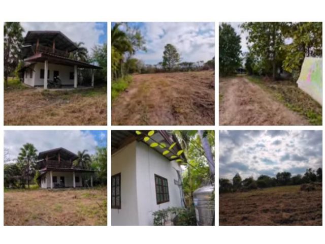 ขายที่ดิน10ไร่โฉนด พร้อมบ้านพักอาศัยลำพูน4ล้าน