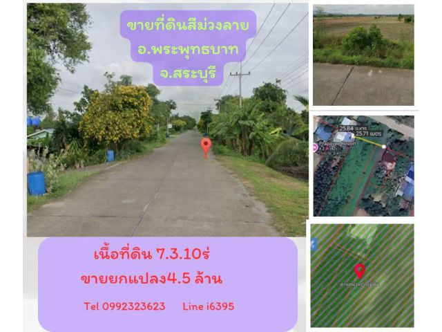 ขายที่ดินสีม่วงลาย อ.พระพุทธบาท จ.สระบุรี