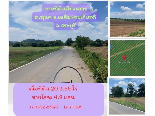 ขายที่ดินสีม่วงลาย ไร่ละ 4.9 แสน