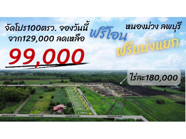 ที่ดิน หนองม่วง จ.ลพบุรี ขนาด 100 ตร.วา