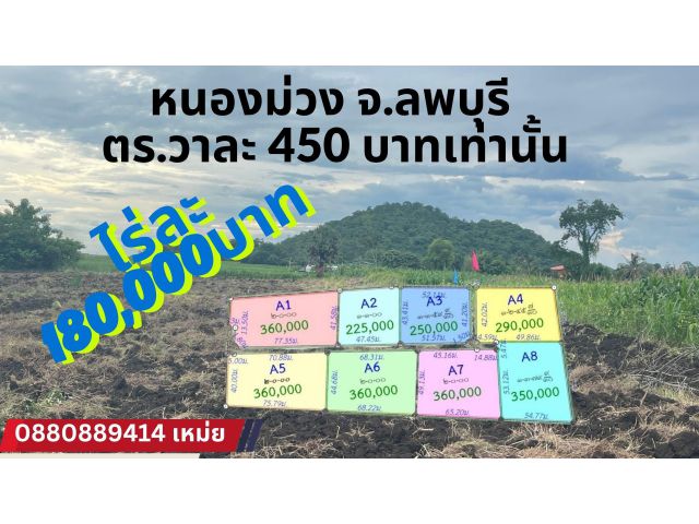 ที่ดิน หนองม่วง จ. ลพบุรี ไร่ละ 180,000