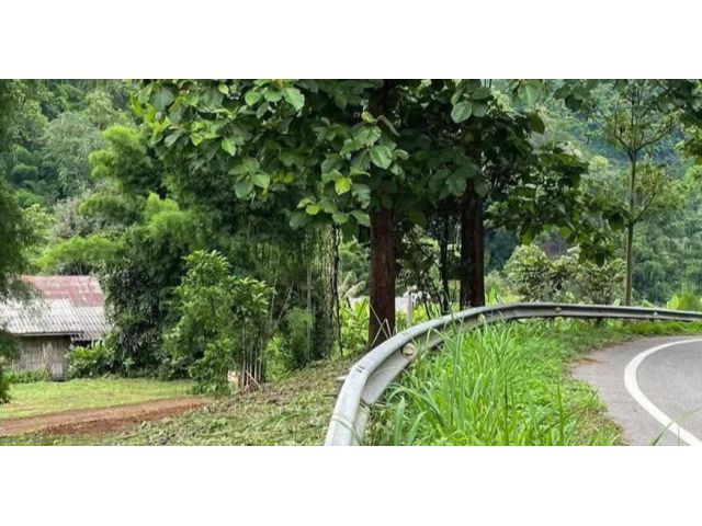 ขายที่ดินบนเนินดอยบ้านปงหางดงวิวดอยติดถนนโฉนด