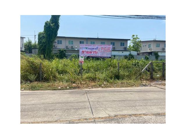 ที่ดินเปล่า 298 ตรว. ซ.รังสิต-นครนายก62  อ.ธัญบุรี  ใกล้ดรีมเวิลด