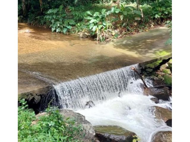 ขายที่ดินติดน้ำตกลำธารน้ำบ้านป่าเมี่ยงดอยสะเก็ตพร้อมโอน