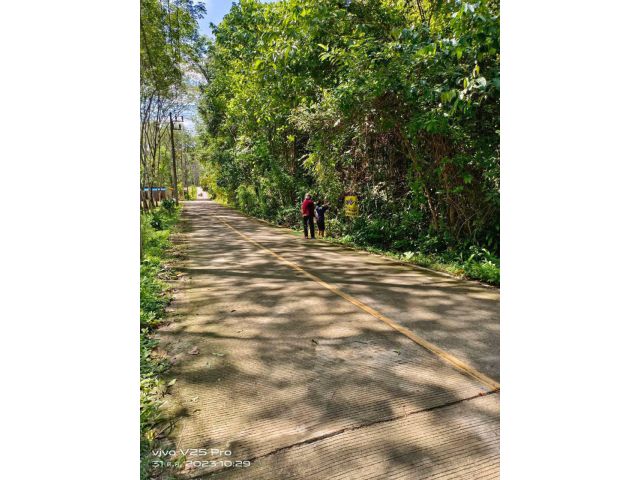 ขายที่ดิน แปลงสวยมากก เป็นเกาะเล็กๆ ที่มีทะเล ป่าไม้ที่อุดมสมบุรณ์