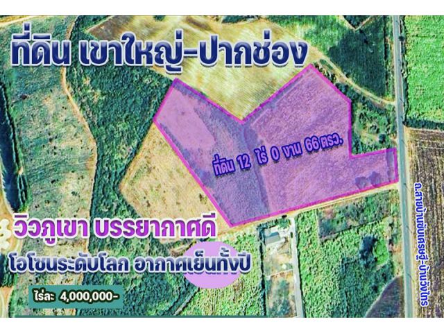 ขายที่ดิน เขาใหญ่-ปากช่อง 12 ไร่ จ.นครราชสีมา