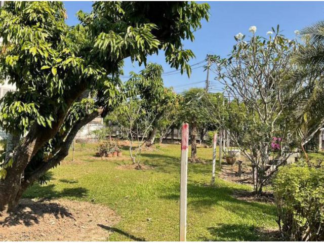 ขายที่ดินตำบลดอนแก้วแม่ริมติดถนนสองด้านห่างถนนหลัก 350เมตร