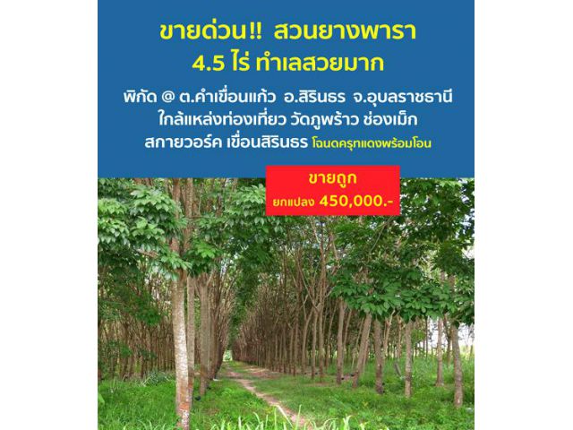 ขายที่ดินพร้อมบ้านสวย 5 ไร่ 2 งาน 80 ตรว. ***เขตปลอดภัยจากแผ่นดินไหว*** ทำเลสวยมาก ติดริมถนนวงแหวนเลี่ยงเมือง จ.อุบลราชธ