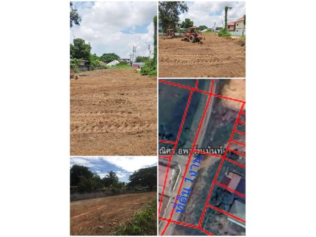 ขายที่ดิน เนื้อที่ 1 งาน ทำเลทองในซอย ม.ราชภัฎ สกลนคร