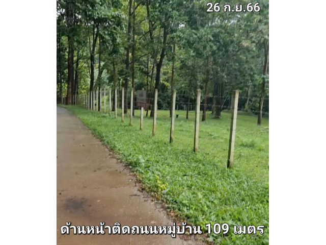 ขายที่ดินตำบลโป่งกุ่มดอยสะเก็ตติดถนนคอนกรีตโฉนดพร้อมโอน