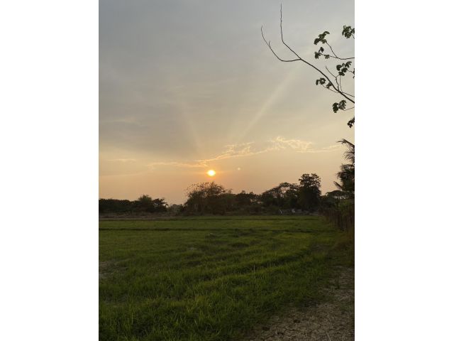 ขายที่ดินลำปาง เป็ฯที่ทุ่งนา บรรยากาศดี สร้างบ้านได้ ราคาถูก