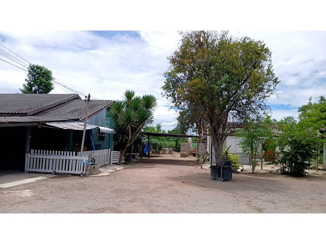 L1761 ขายบ้านพร้อมที่ดิน 2 ไร่ เมืองราชบุรี