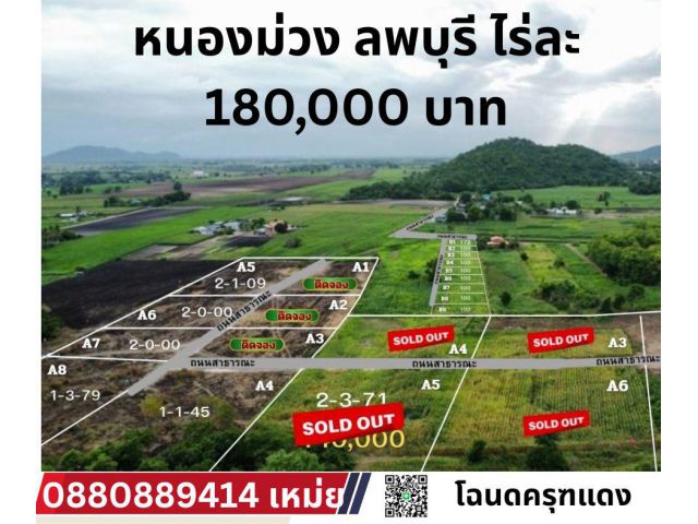 ที่ดิน หนองม่วง จ. ลพบุรี ไร่ละ 180000