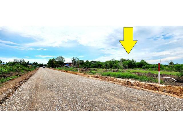 ขายที่ดินเงินสด-ผ่อน ถมแล้ว 200 ตรว คลอง14 หนองเสือ