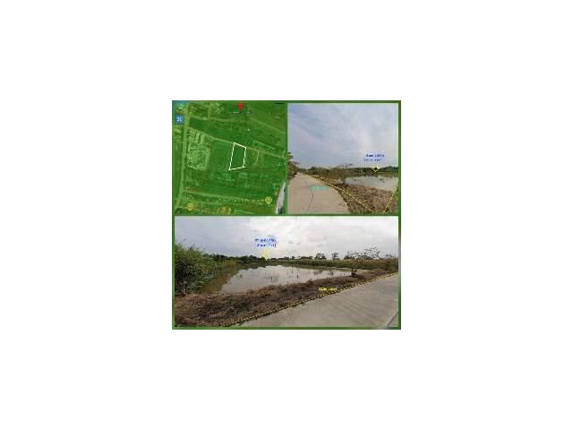 ที่ดิน 3 ไร่ ต.บ้านปทุม อ.สามโคก จ.ปทุมธานี