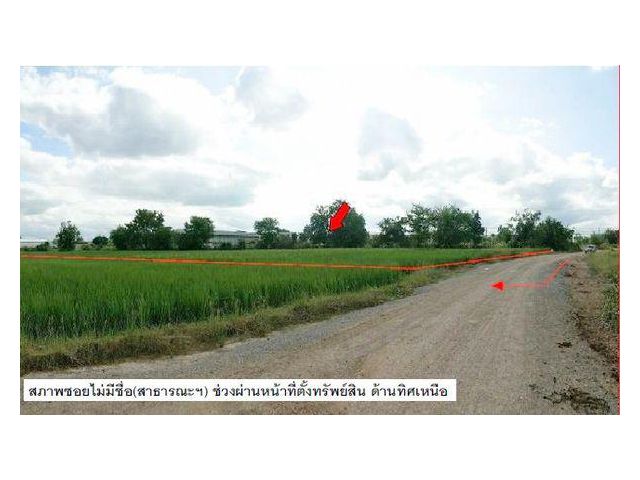 ขายที่ดิน7-1-10 ไร่ ด่านขุนทด-นครราชสีมา