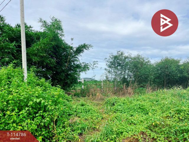 ขายที่ดิน เนื้อที่ 1 ไร่ เลาขวัญ กาญจนบุรี