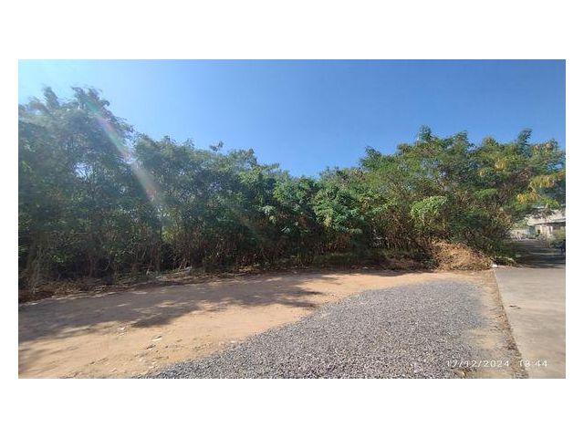 ขายที่ดิน 2-2-33 ไร่ ติดถนนศรีราชา - หนองยายบู่ ชลบุรี
