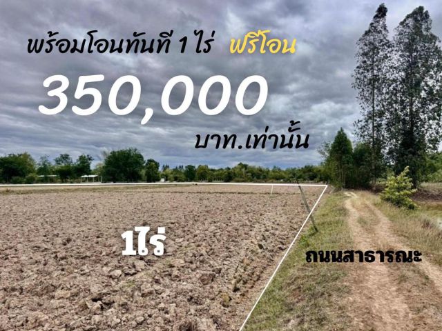 ที่ดิน รางบัว จ. ราชบุรี