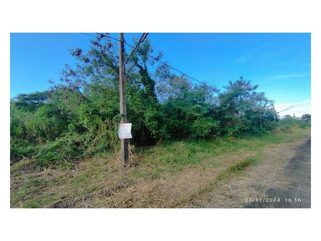 ขายที่ดิน 337 ตร.ว.หมู่บ้านกฤษดานคร25 ถ.ประชาร่วมใจ กทม.