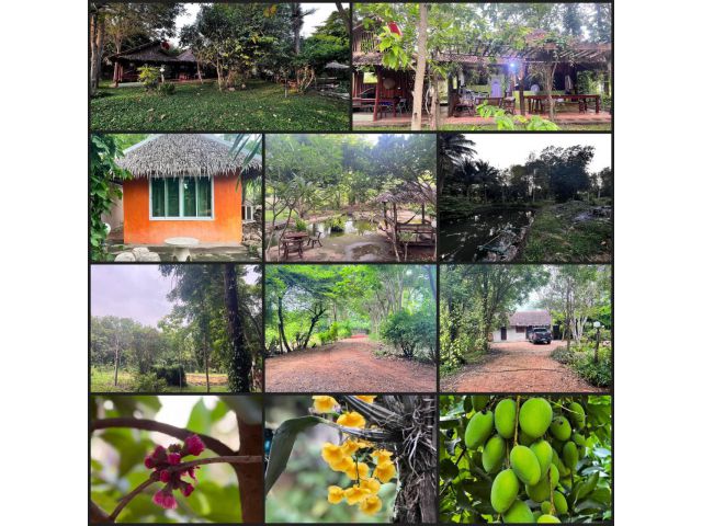 ขาย บ้านสวน บรรยากาศดี จังหวัดลพบุรี
