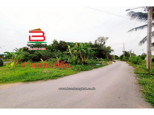 ที่ดินเปล่า ติดซอยสมหวัง เนื้อที่ 357 ตร.ว แขวงเจียระดับ เขตหนองจอก(เจียระดับ) กรุงเทพมหานคร