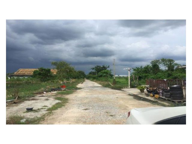 ขายที่ดิน 200 ตร.ว (โครงการปิ่นทองแลนด์) ไทรน้อย นนทบุรี