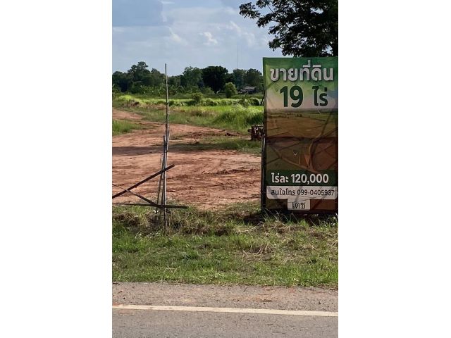 ที่ดิน 19 ไร่ ครุฑแดง‍ดินดี น้ำดี  ติดถนนดำ มีไฟฟ้าพร้อมใช้ มีบ่อน้ำบาดาลพร้อมใช้  ใกล้ตัวเมืองอ.พล จ.ขอนแก่น