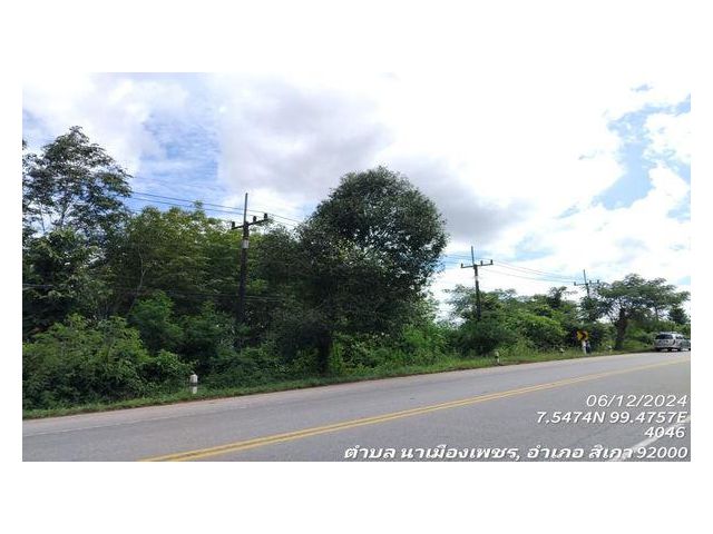 ขายที่ดิน 12-3-25 ไร่ ติดถนนสายตรัง-สิเกา(4046) นาเมืองเพชร
