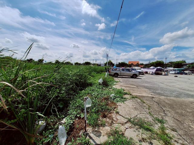 ขายที่ดิน 6-3-94 ไร่ติดถนน เฉลิมพระเกียรติ สวยมาก (N.1189)