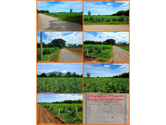 ขายที่ดิน ราคาไม่แพง อ.จอมบึง จ.ราชบุรี